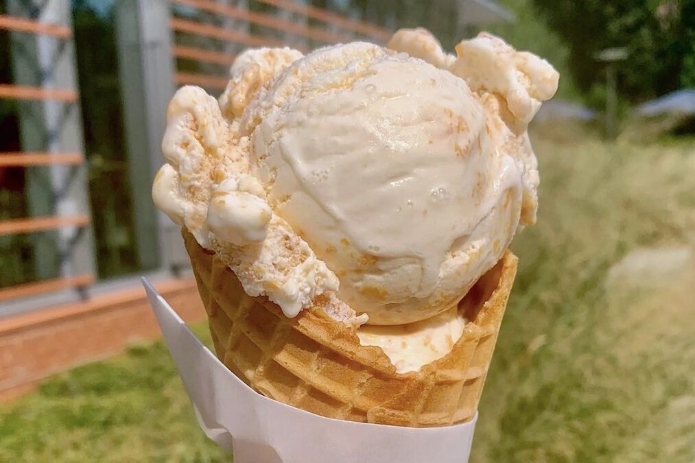 Howling Cow Peach Ice Cream in waffle cone