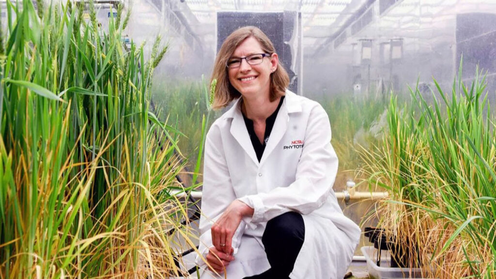 CALS NCARS Director and Associate Dean of Research Amy Grunden siting amidst plants in lab